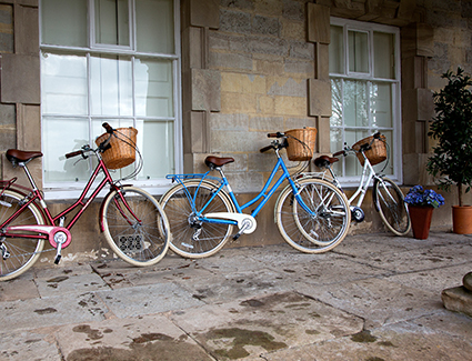 Bikes With Baskets